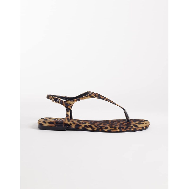SIMMI Shoes Simmi London Perry thong sandals in leopard-Multi