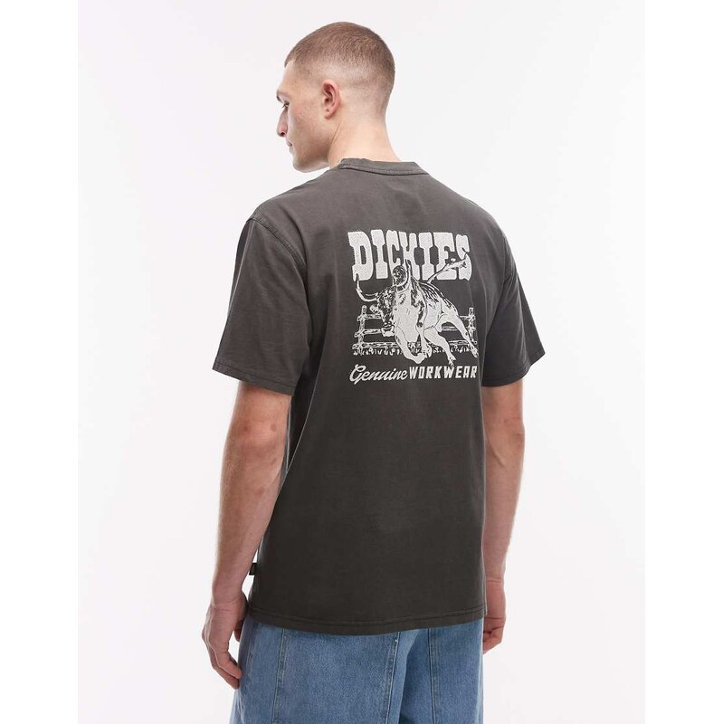 Dickies Buchtell back print t-shirt in black