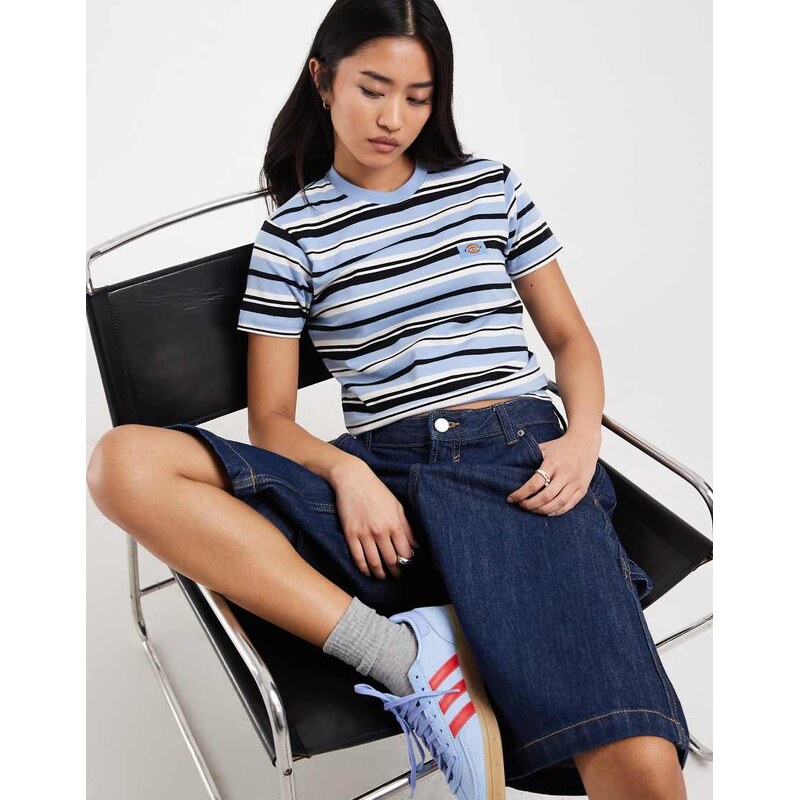 Dickies Glade Spring striped baby tee in blue-White 114456391