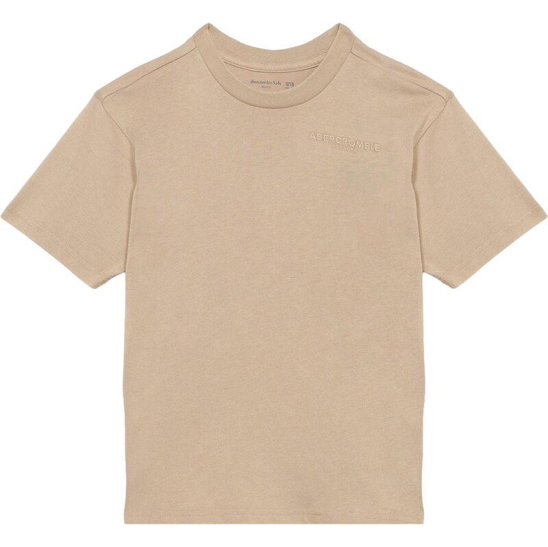 Abercrombie & Fitch Tričko šedobéžová 114457251