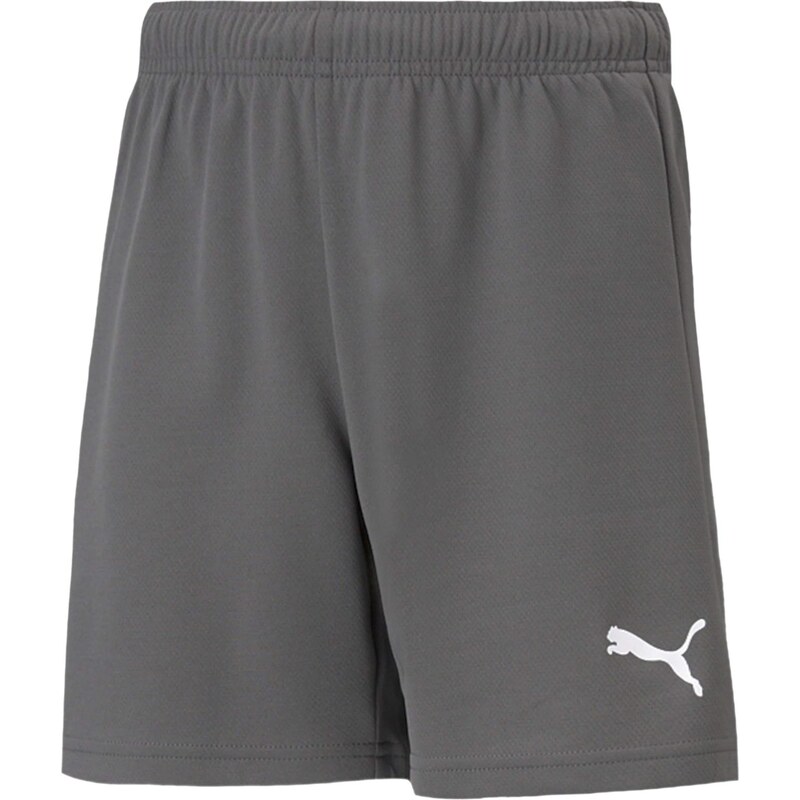 PUMA Sportovní kalhoty TeamRise šedá / bílá