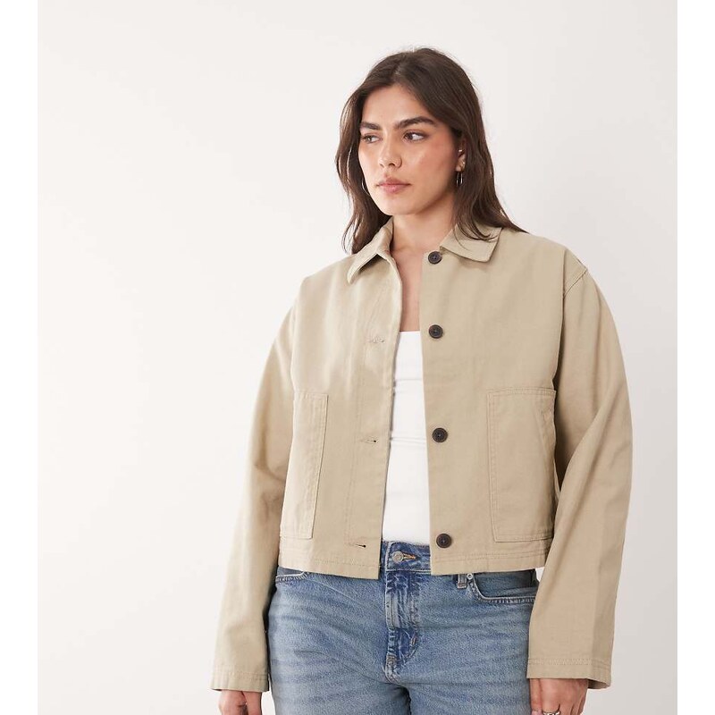 ASOS Curve ASOS DESIGN Curve short cotton harrington jacket in