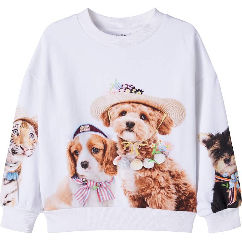 Molo Maxi printed cotton jersey sweatshirt