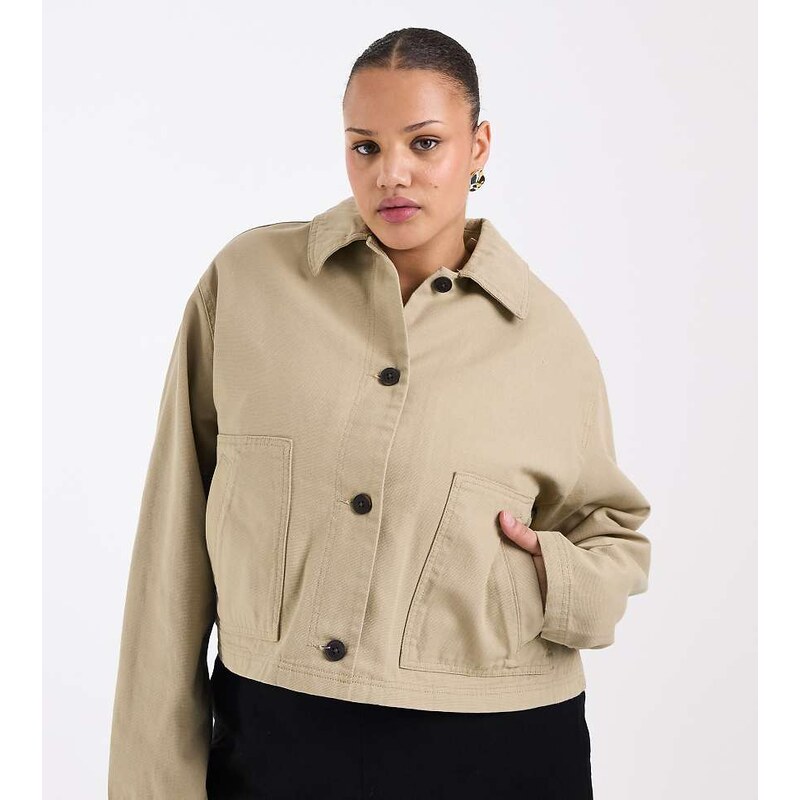 ASOS Curve ASOS DESIGN Curve short cotton harrington jacket in 114687936