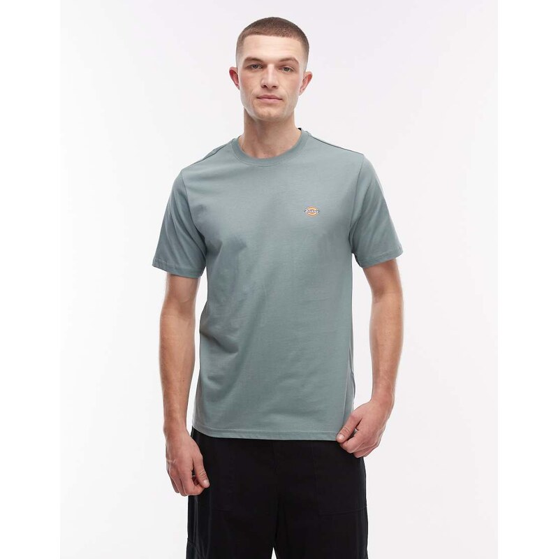 Dickies Mapleton logo t-shirt in blue