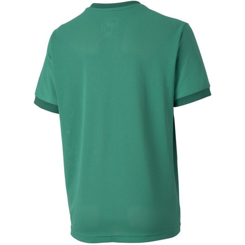 teamGOAL 23 Jersey Jr model 19004854 05 tričko - Puma