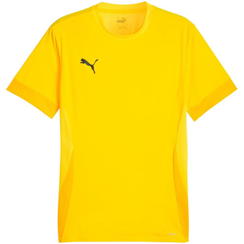 teamGoal Jersey M 07 pánské model 21283911 - Puma