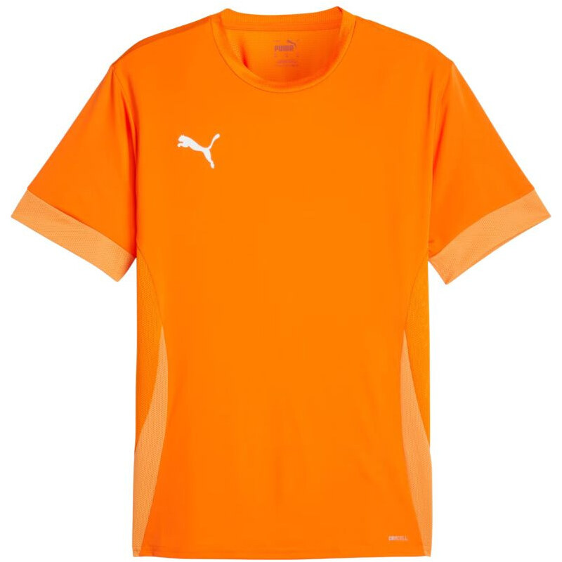 teamGoal Jersey M 08 pánské model 21283917 - Puma