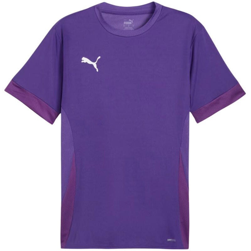 teamGoal Jersey M 10 pánské model 21283923 - Puma