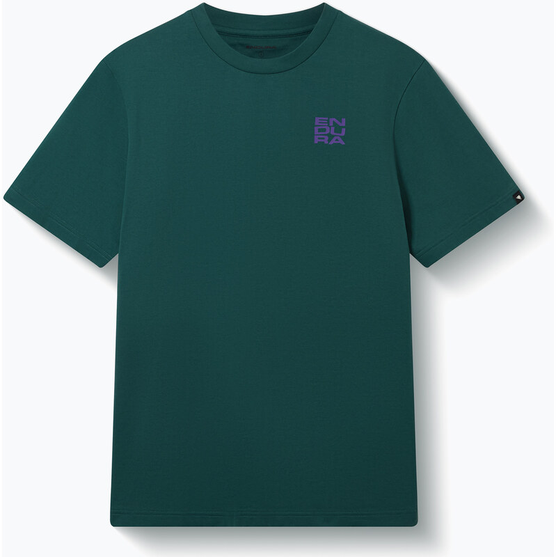 Cyklistický dres Endura Stacked Logo Graphic teal