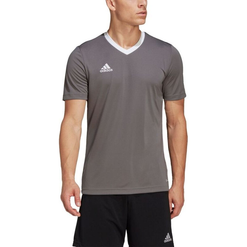Pánské tričko Entrada 22 Jersey M model 17085341 - ADIDAS