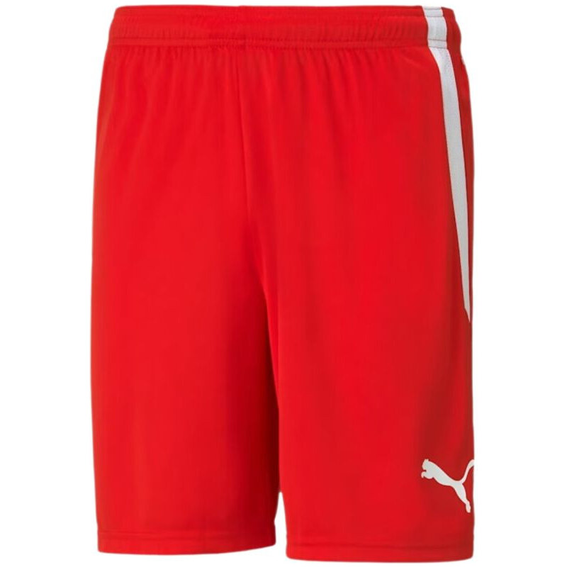 Šortky teamLIGA M model 18825942 01 - Puma