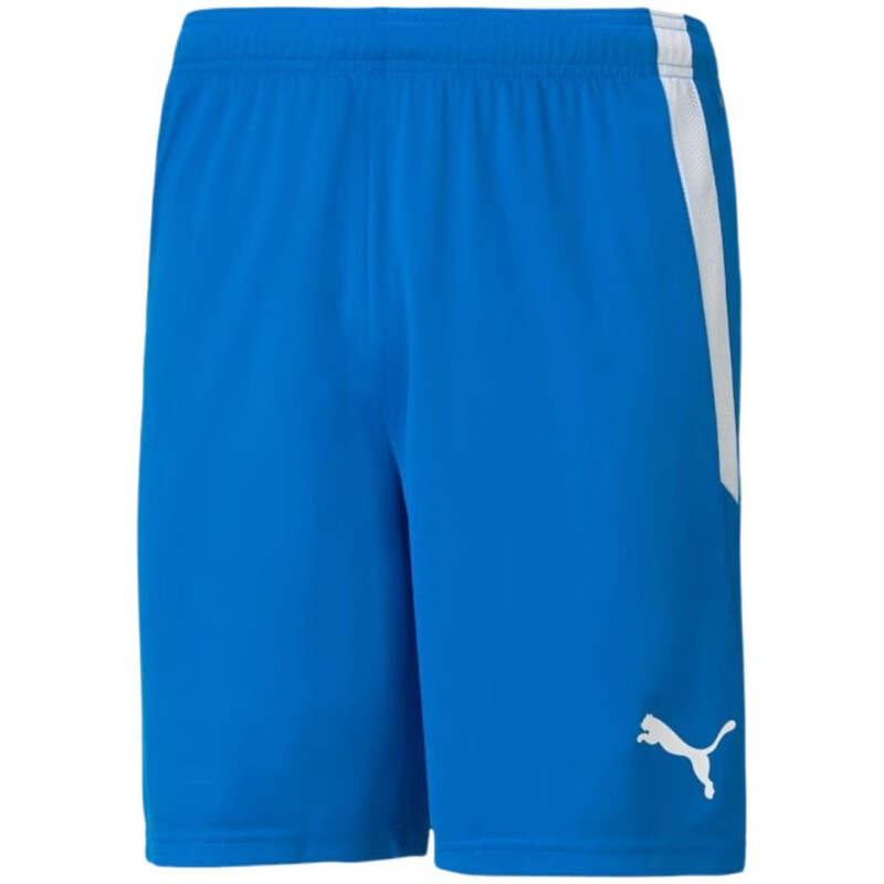 Šortky teamLIGA M model 18825948 02 - Puma