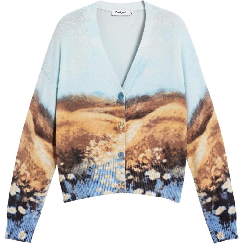 Desigual Kardigan modrá / hnědá
