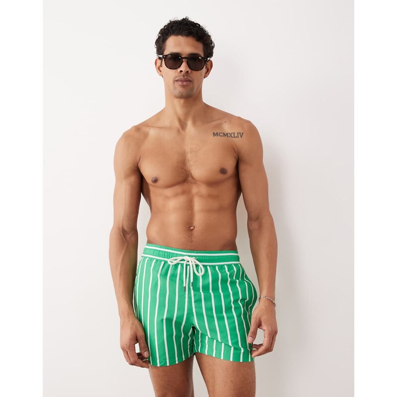 Polo Ralph Lauren Traveler striped swim trunk in green-Multi