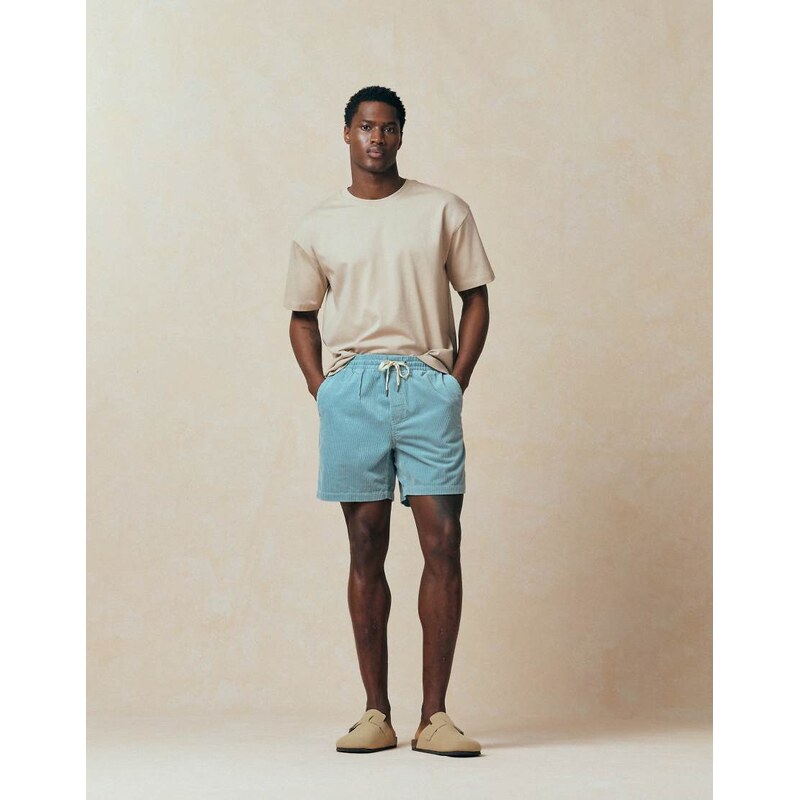 Polo Ralph Lauren icon logo shorts in blue