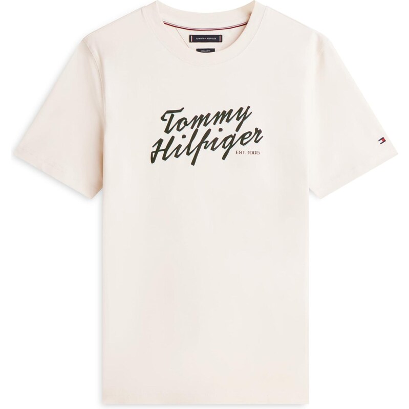 TOMMY HILFIGER Tričko 'SUMMER' světle béžová / mátová / černá