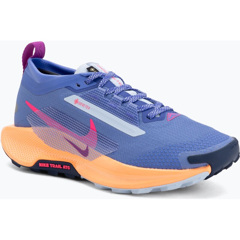Dámské běžecké boty Nike Pegasus Trail 5 GTX sapphire/hydrogen