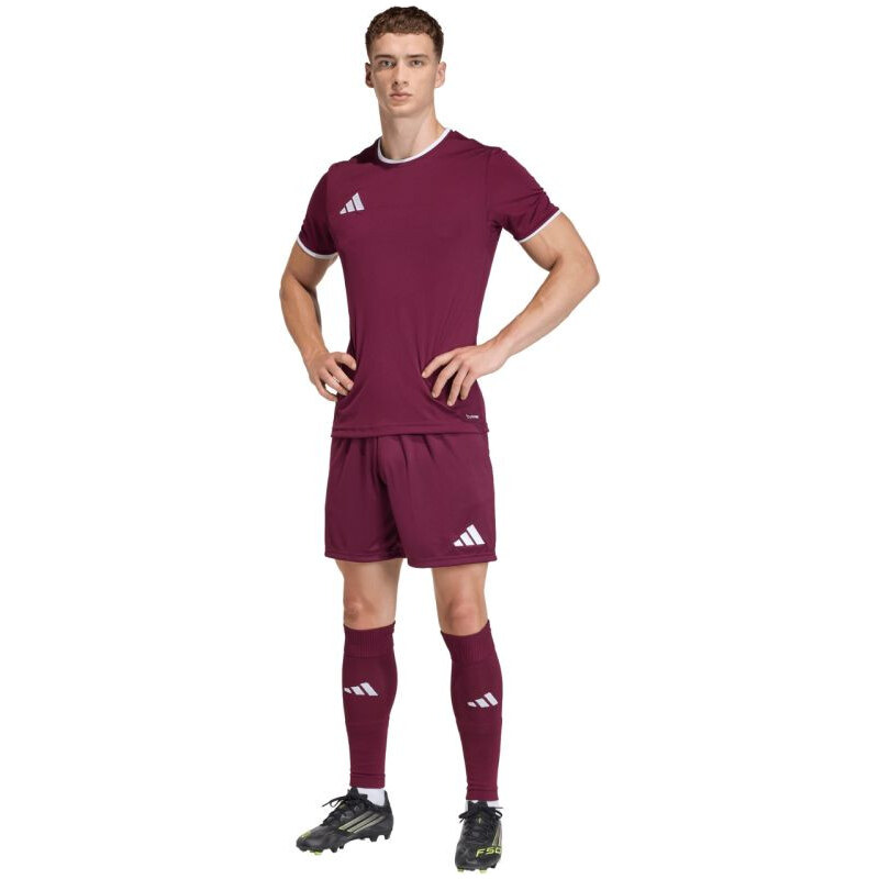 Pánské šortky Entrada 26 bordó model 22058607 - ADIDAS