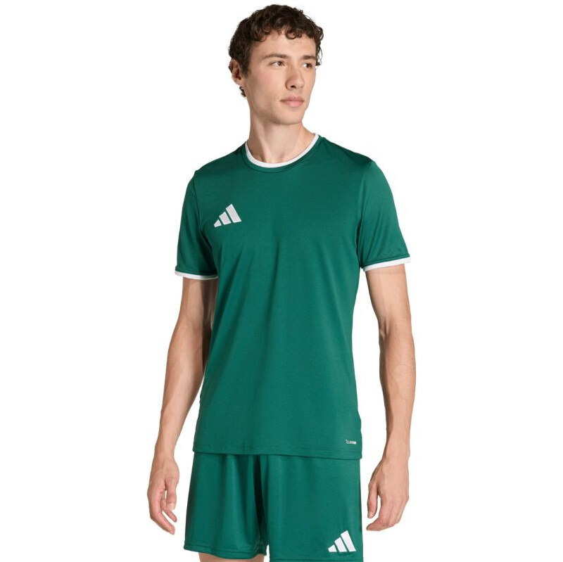 Pánské tričko adidas Entrada 26 Jersey green KE9832 pánské