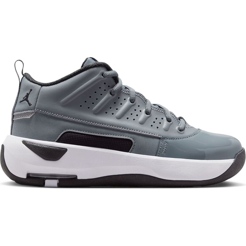 Tenisky Air Jordan Cool Grey 3951222