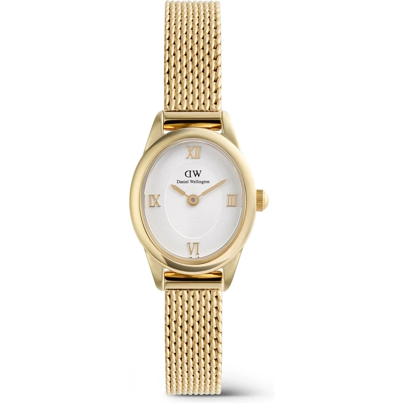 Daniel Wellington dámské hodinky Ophelia Mini mesh oválné DW00100939 114758304