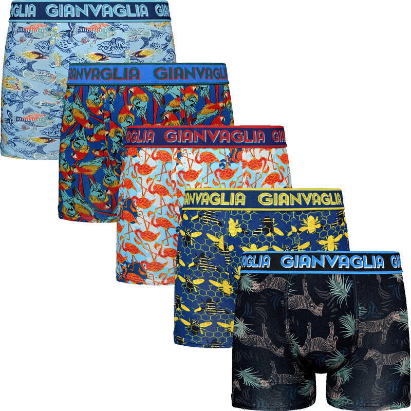 5PACK pánské boxerky Gianvaglia vícebarevné (GVG-5066) 114759394