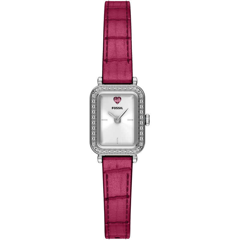 Hodinky Fossil 114832000