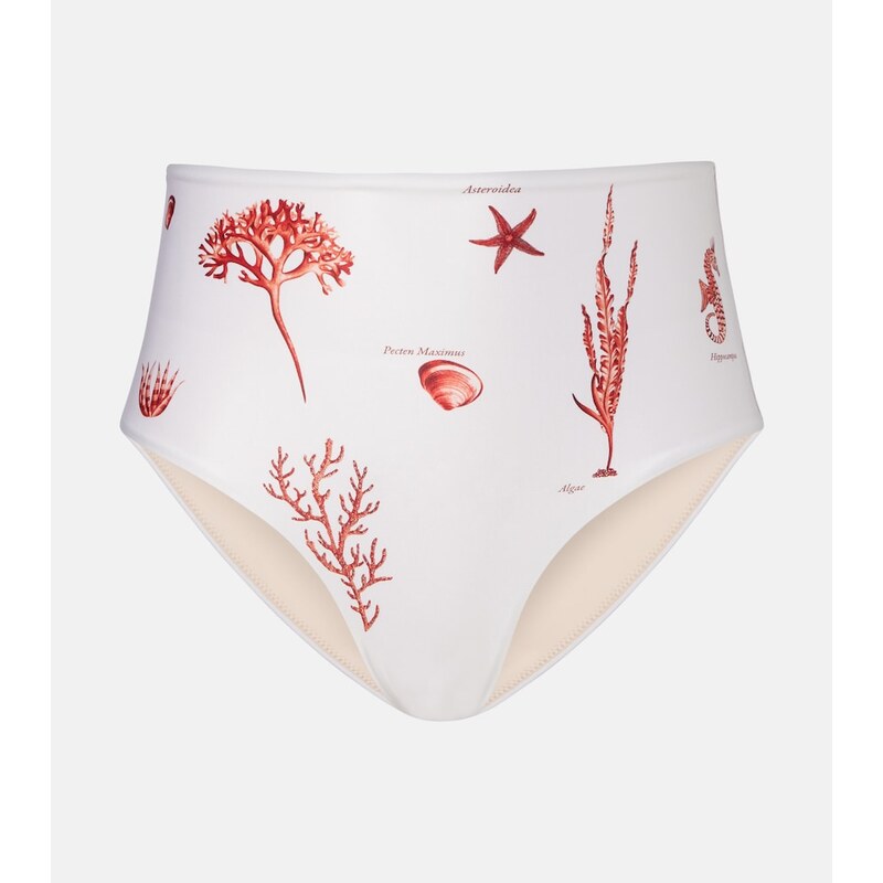 Agua by Agua Bendita Magdalena printed bikini bottoms