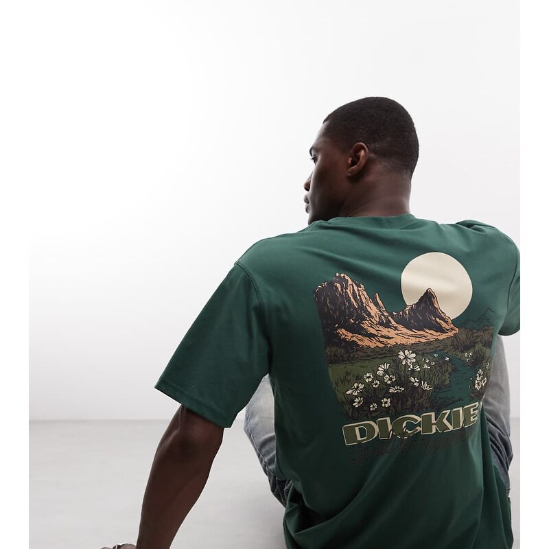 Dickies Roaming Shores backprint t-shirt in dark green -