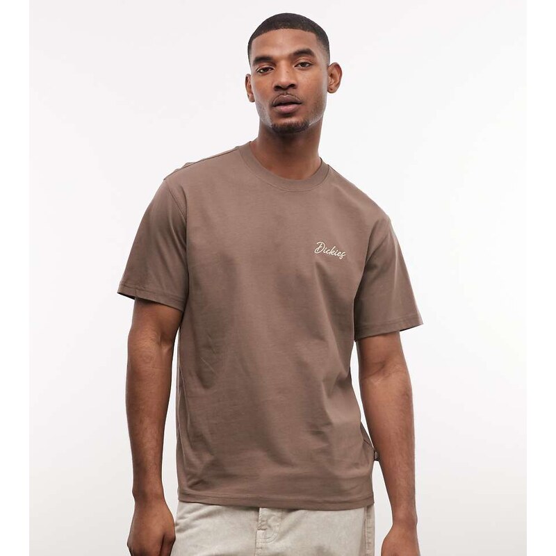 Dickies North Madison t-shirt in brown - exclusive to ASOS