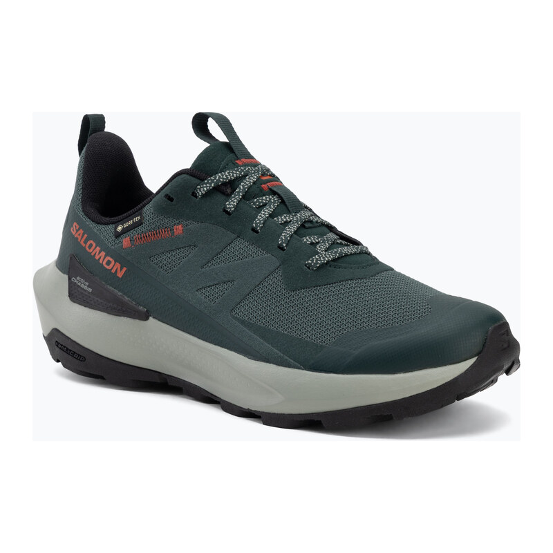 Pánské turistické boty Salomon Elixir Activ GTX scarab/green