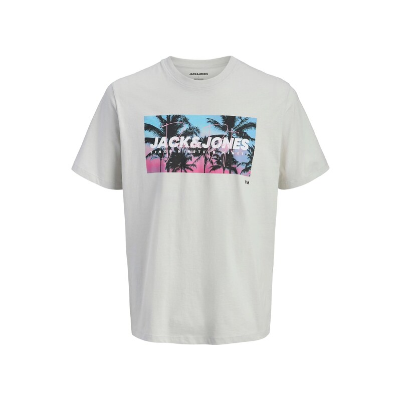JACK & JONES Tričko JJINDIANA světlemodrá / světle šedá / světle