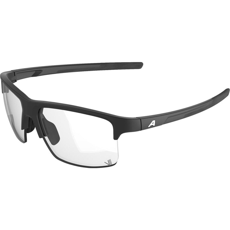 Športové okuliare ALPINA EAGLE V