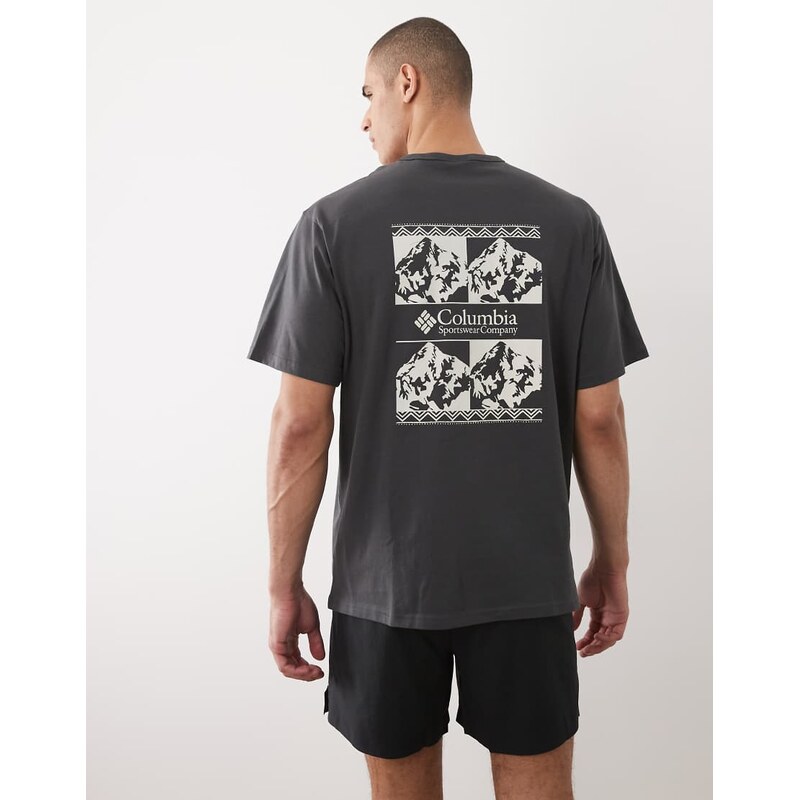 Columbia CSC heavyweight iconic t-shirt in black
