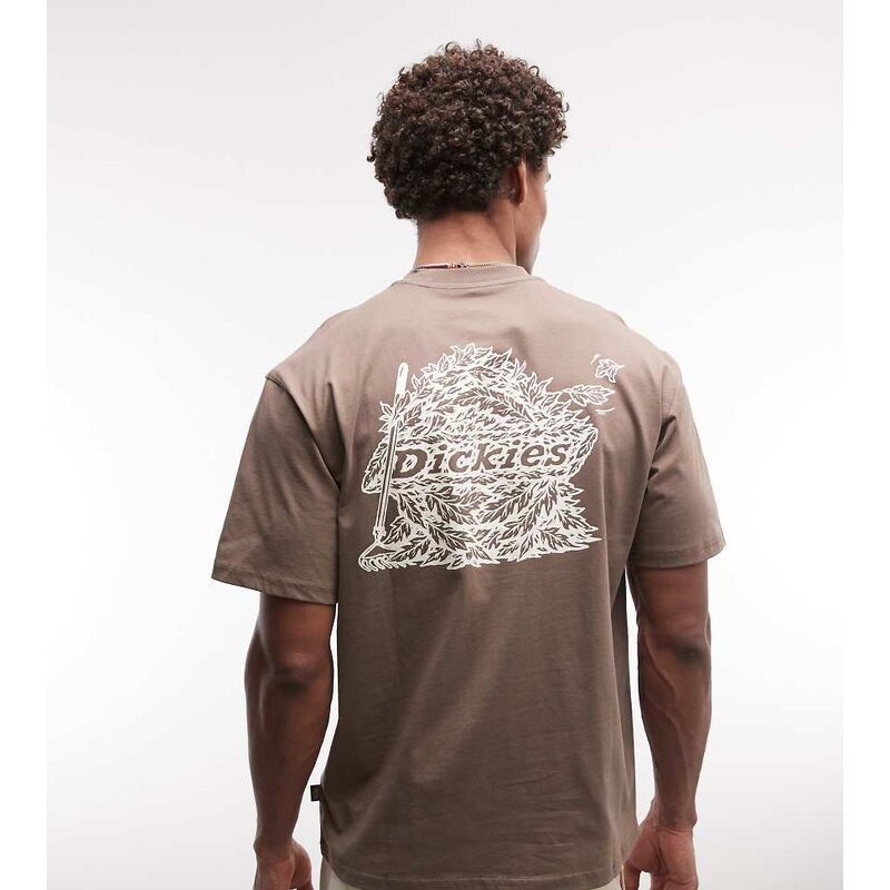 Dickies Beachwood Trails backprint t-shirt in brown - exclusive