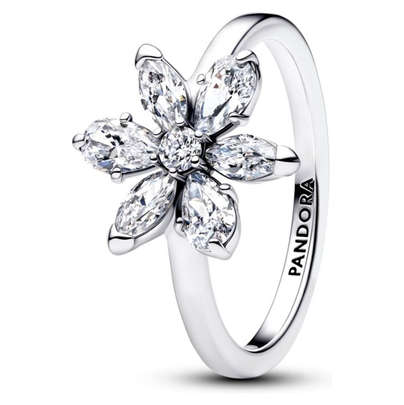 PANDORA prsten Třpytivý herbářový shluk 114959280