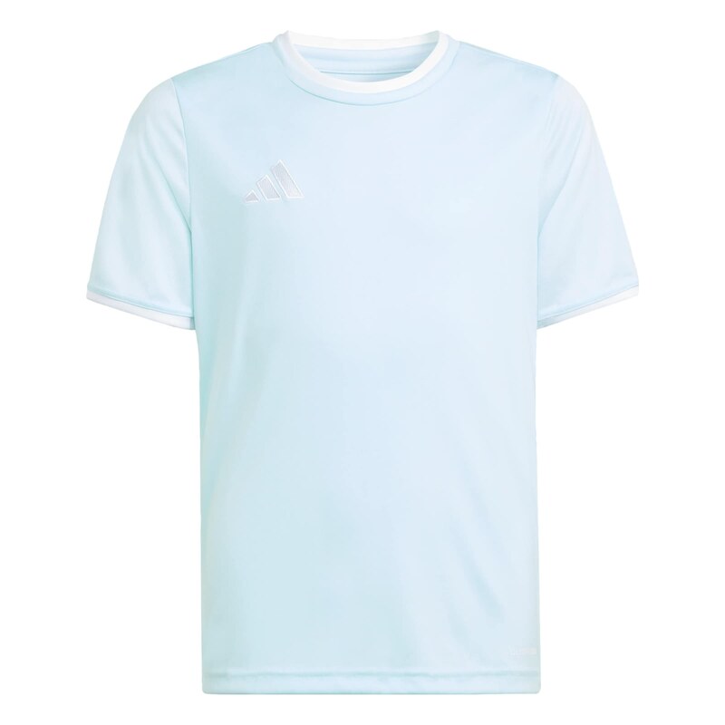 ADIDAS PERFORMANCE Funkční tričko Entrada26 světlemodrá / bílá