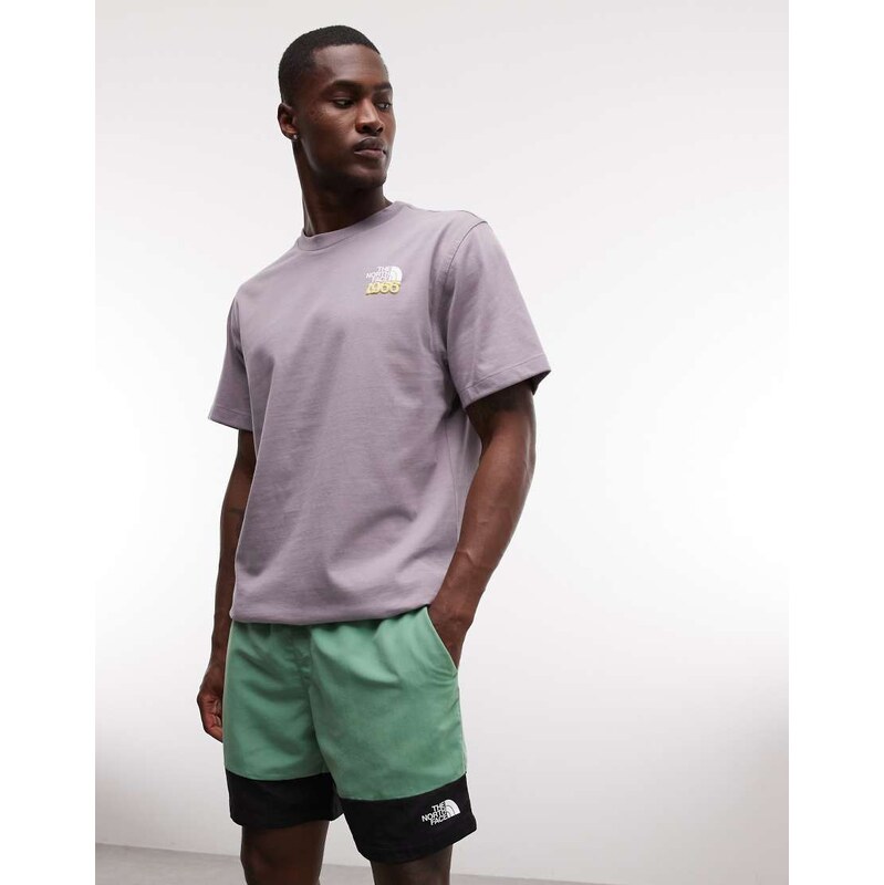 The North Face Leynar short in green