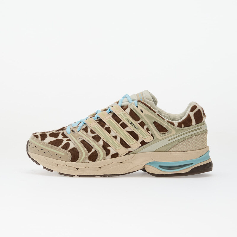 adidas Originals adidas Adistar Control 5 W Crli/ Icgome/ Ice