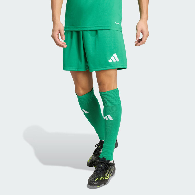 Adidas Entrada26 Shorts