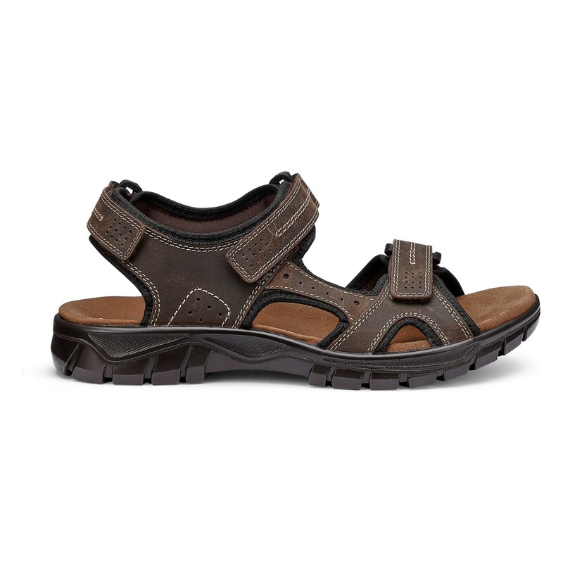 Hotter Dark Brown 7858959