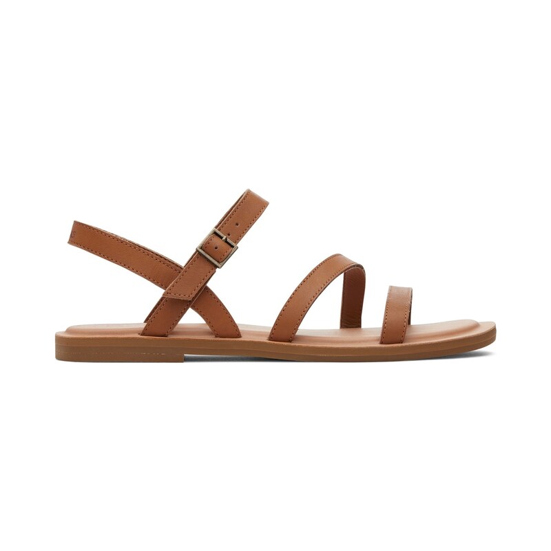 Toms Tan 260226