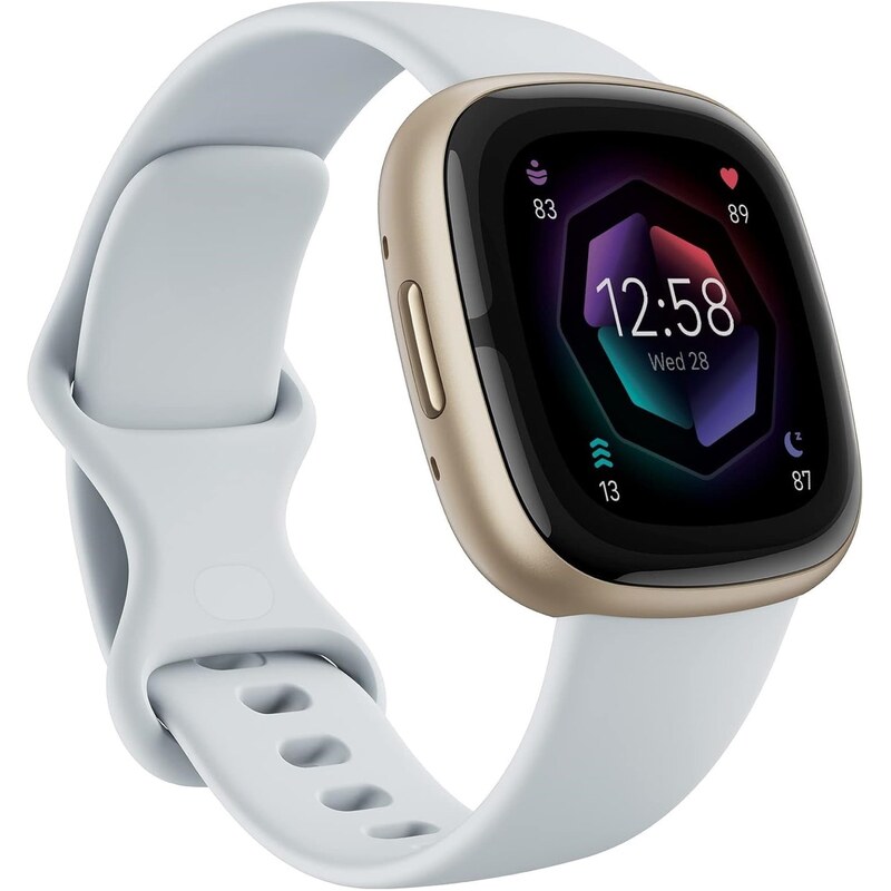 Hodinky Fitbit Silver 6845002