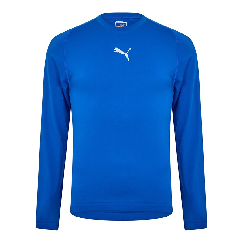 Puma Blue 434632