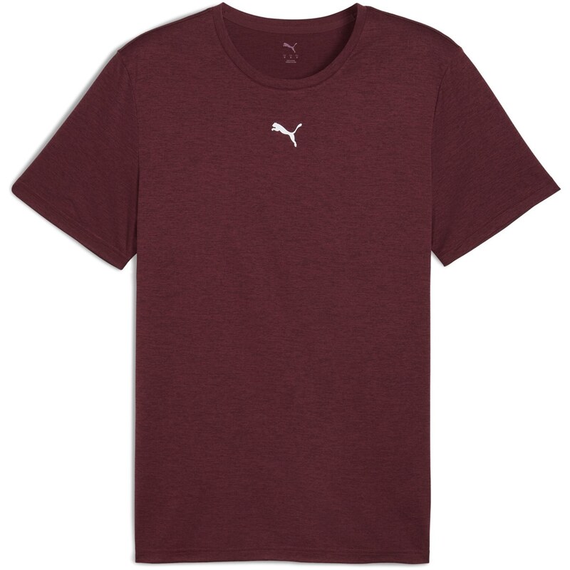 Puma Burgundy 4408693