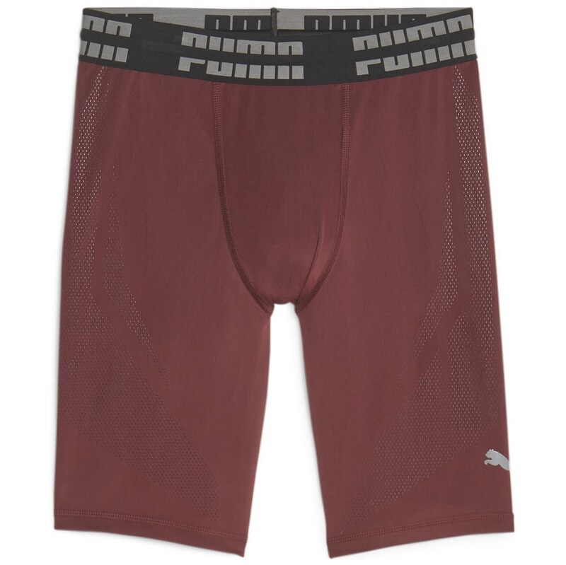 Puma Aubergine 2685688