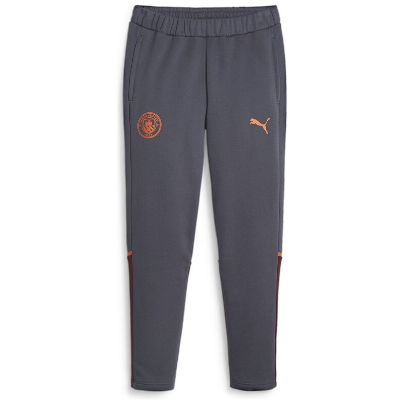 Tepláky Puma Strong Grey 5105255