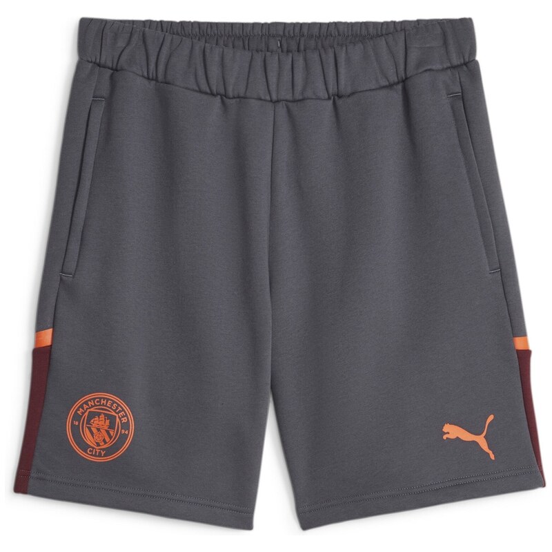 Kraťasy Puma Strong Grey 231892