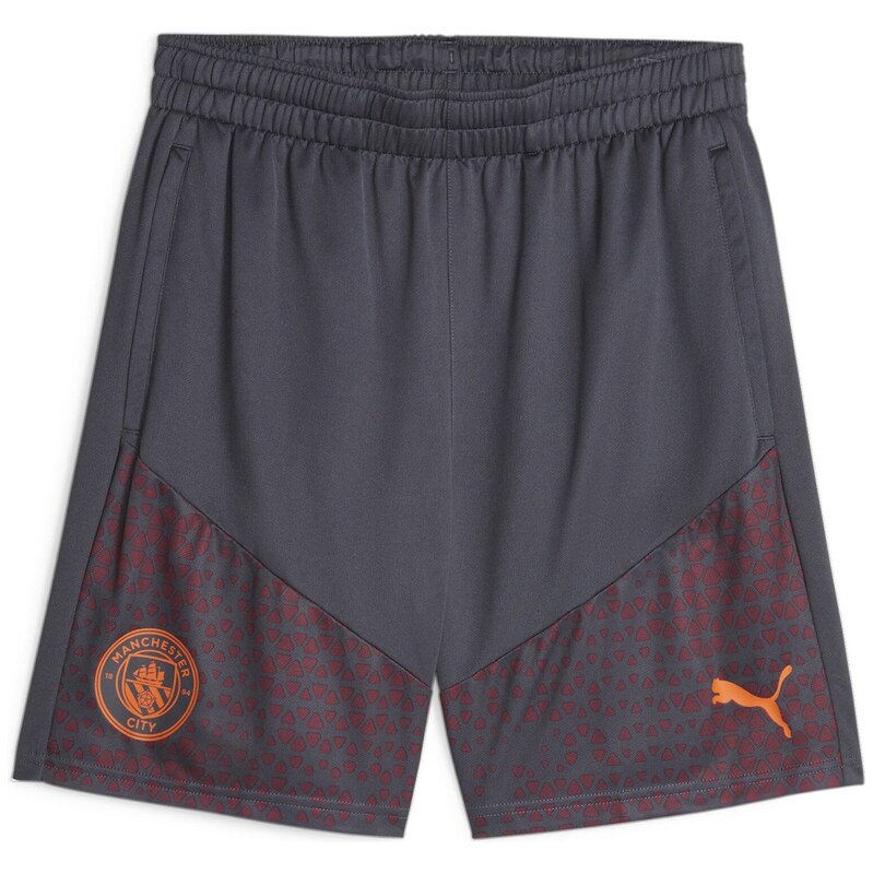 Kraťasy Puma Strong Grey 2651851